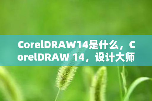 CorelDRAW14是什么图片