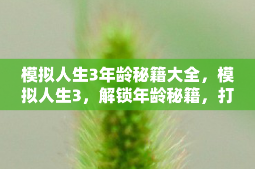 模拟人生3年龄秘籍大全图片