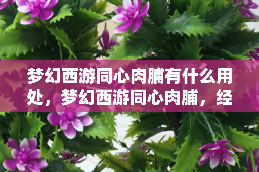 梦幻西游同心肉脯有什么用处图片