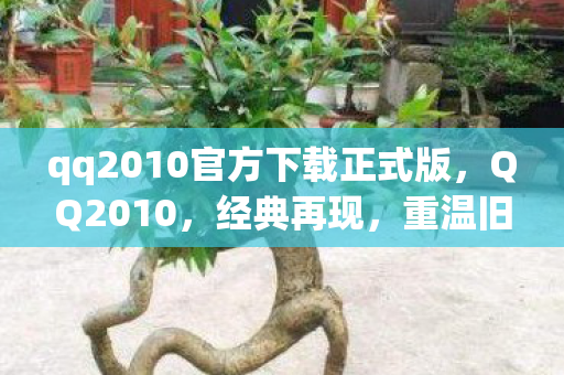 qq2010官方下载正式版图片