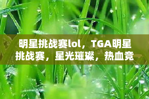 明星挑战赛lol，TGA明星挑战赛，星光璀璨，热血竞技