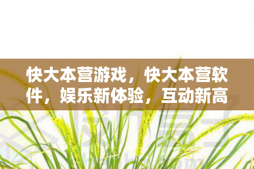 快大本营游戏图片