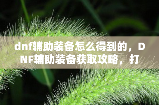 dnf辅助装备怎么得到的图片