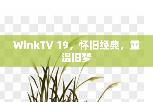 WinkTV 19图片