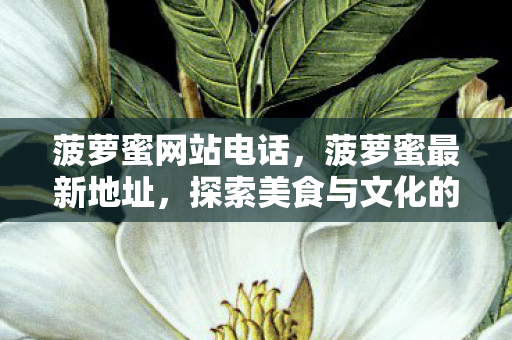 探索美食与文化的奇妙之旅图片