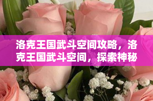 探索神秘王国的战斗之旅图片