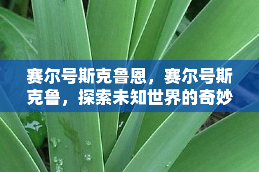 探索未知世界的奇妙之旅图片