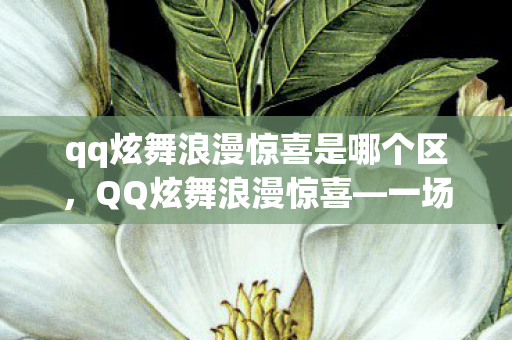 qq炫舞浪漫惊喜是哪个区，QQ炫舞浪漫惊喜—一场虚拟世界的华丽盛宴