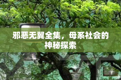 母系社会的神秘探索图片