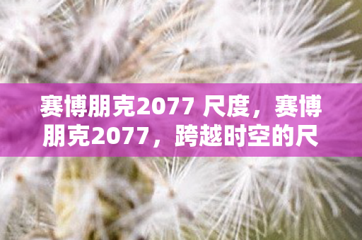 赛博朋克2077 尺度图片