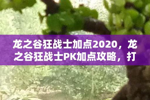 龙之谷狂战士加点2020图片
