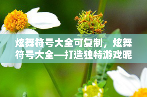 炫舞符号大全可复制，炫舞符号大全—打造独特游戏昵称的秘籍