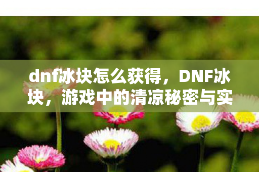 游戏中的清凉秘密与实用指南图片