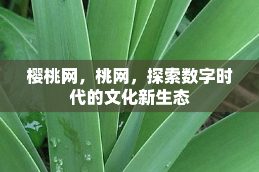 探索数字时代的文化新生态图片