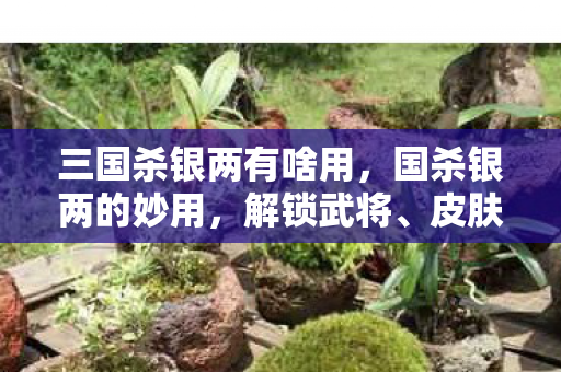 皮肤与提升游戏乐趣图片