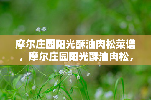 摩尔庄园阳光酥油肉松菜谱图片