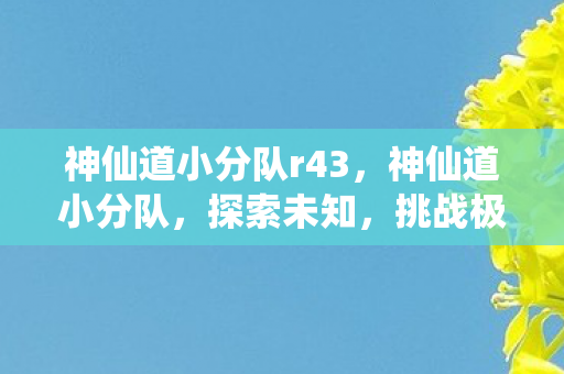 神仙道小分队r43图片