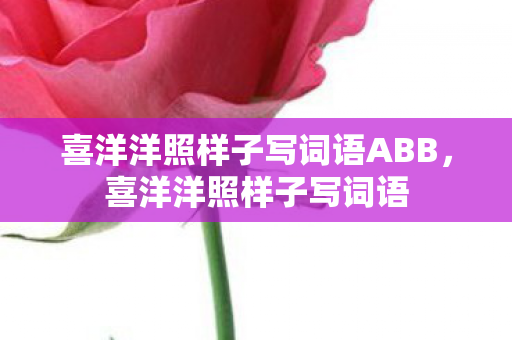 喜洋洋照样子写词语ABB图片