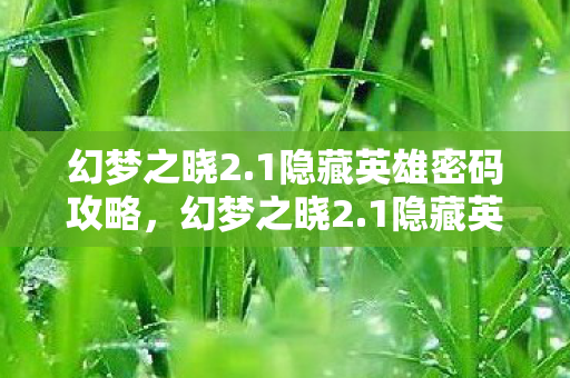 1隐藏英雄密码攻略图片