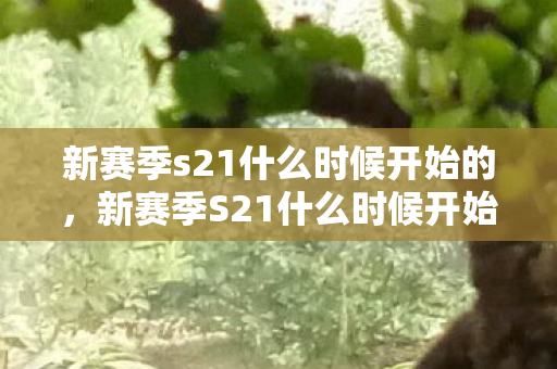 新赛季s21什么时候开始的图片