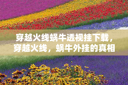 穿越火线蜗牛透视挂下载图片