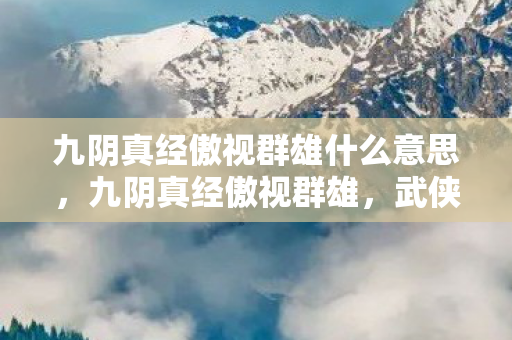 九阴真经傲视群雄什么意思图片