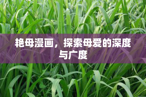 探索母爱的深度与广度图片