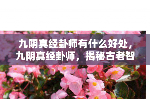 揭秘古老智慧的传承与奥秘图片