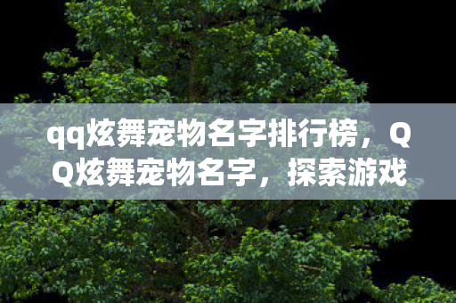 qq炫舞宠物名字排行榜，QQ炫舞宠物名字，探索游戏中的萌宠世界