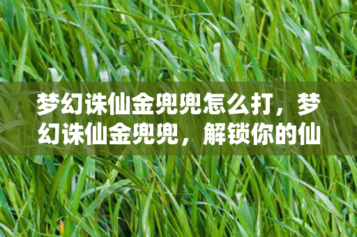 梦幻诛仙金兜兜怎么打图片