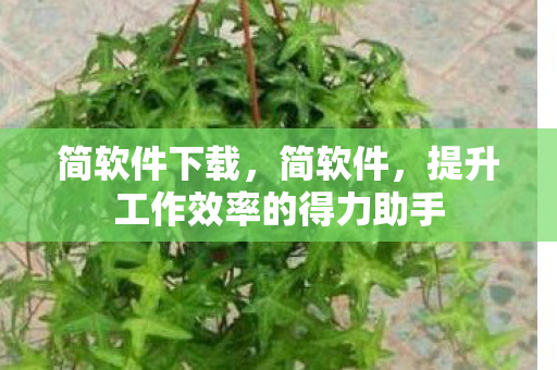 提升工作效率的得力助手图片