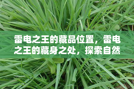 探索自然界的神秘力量图片