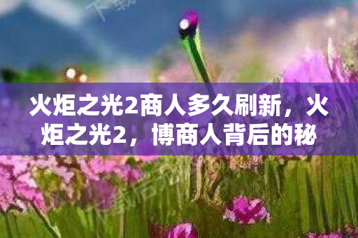 火炬之光2商人多久刷新图片