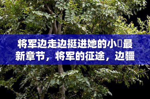 将军边走边挺进她的小泬最新章节图片