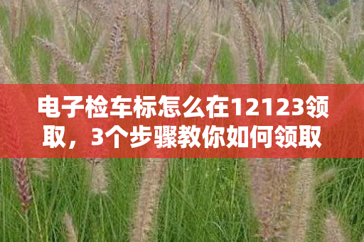 电子检车标怎么在12123领取图片
