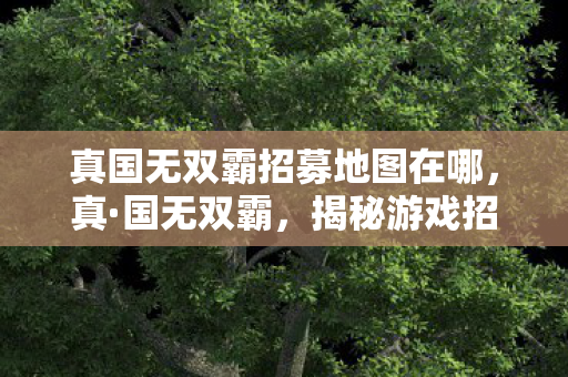 真国无双霸招募地图在哪图片