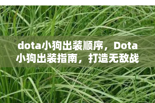 dota小狗出装顺序图片