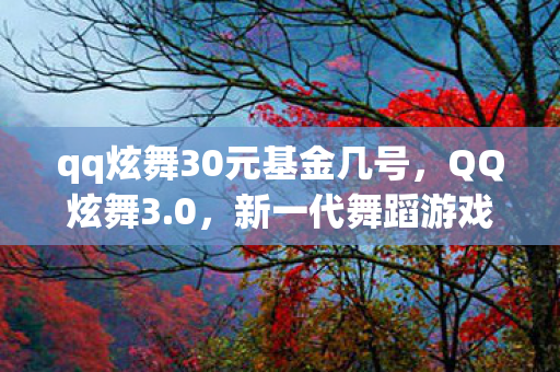 qq炫舞30元基金几号，QQ炫舞3.0，新一代舞蹈游戏引领潮流风潮