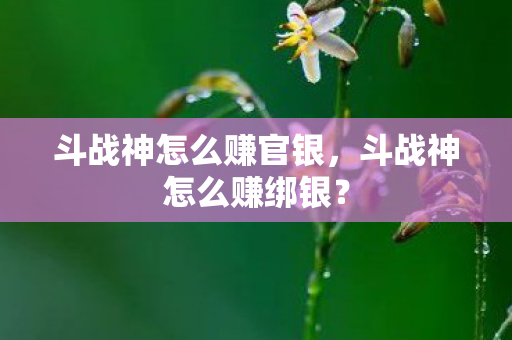 斗战神怎么赚官银图片