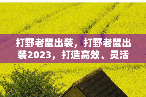 打野老鼠出装2023图片