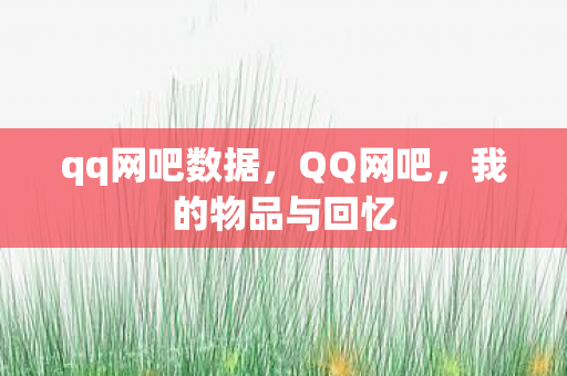 qq网吧数据，QQ网吧，我的物品与回忆