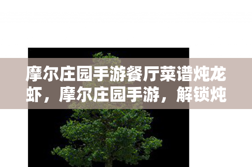 摩尔庄园手游餐厅菜谱炖龙虾图片