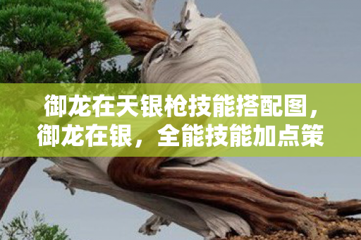 御龙在天银枪技能搭配图图片