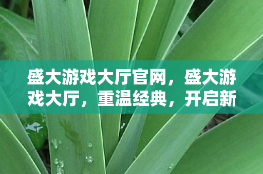 盛大游戏大厅官网图片