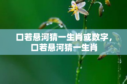 口若悬河猜一生肖或数字图片