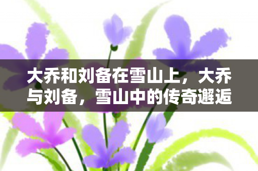 大乔和刘备在雪山上图片