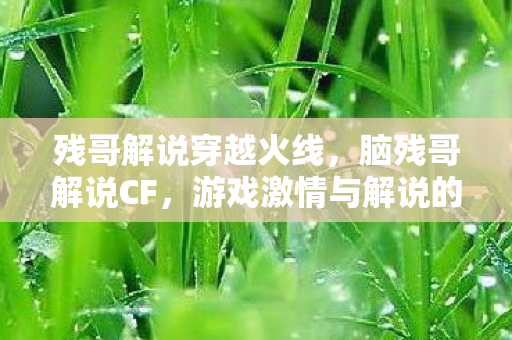 游戏激情与解说的碰撞图片