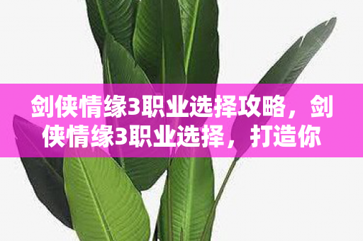 剑侠情缘3职业选择攻略图片