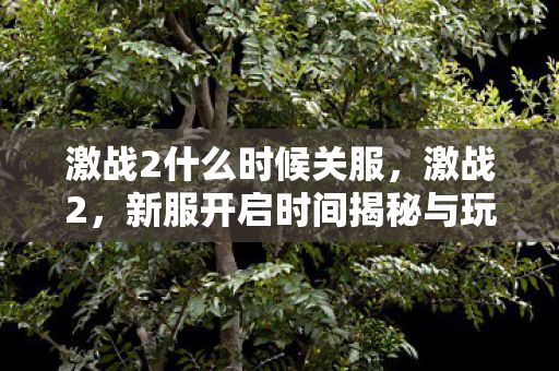 新服开启时间揭秘与玩家期待图片