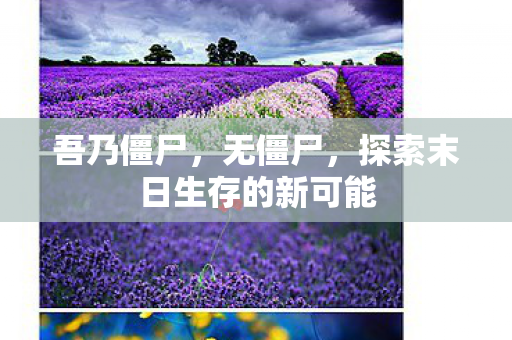 探索末日生存的新可能图片